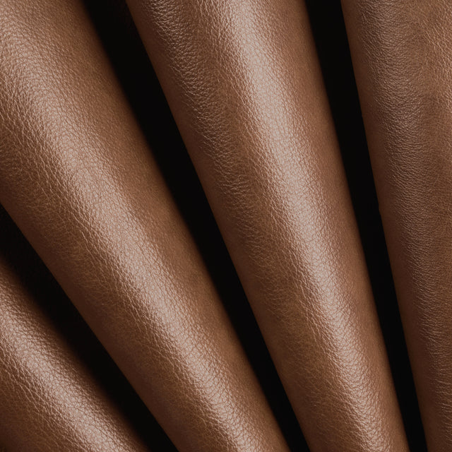 Photo representing theProtected Leather swatch colletion in Chocolate